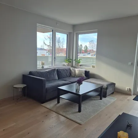 Ny Stilren Og Praktisk Appartamento