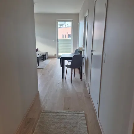 Ny Stilren Og Praktisk Appartamento