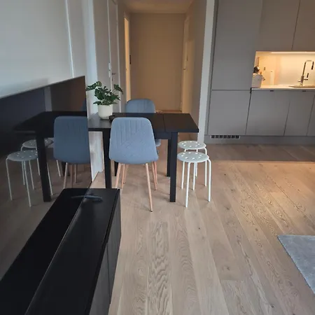 Ny Stilren Og Praktisk Appartamento